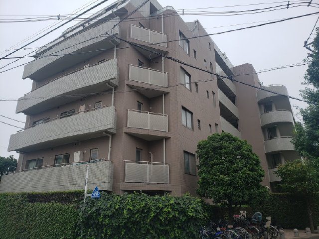 2442画像